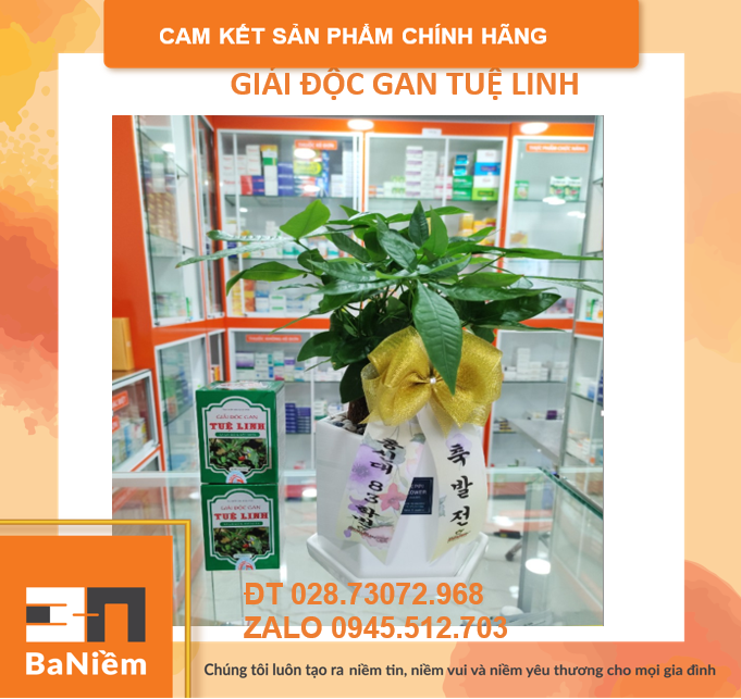 GIẢI ĐỘC GAN TUỆ LINH
