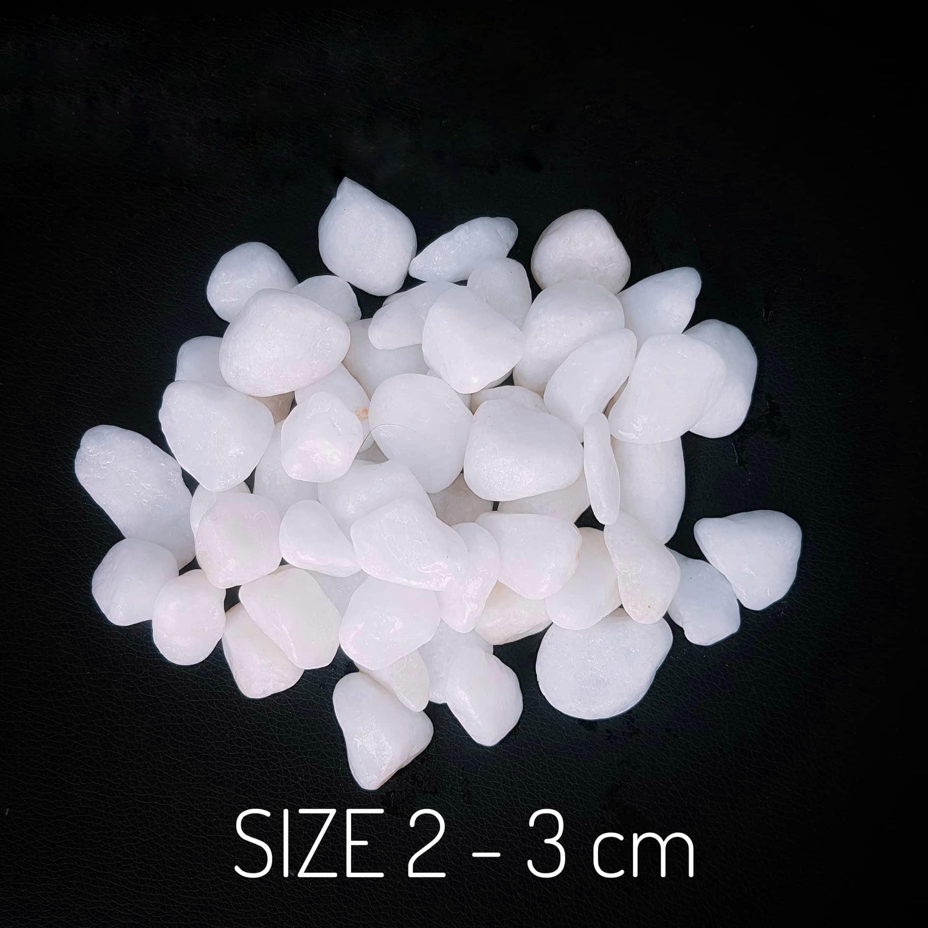[HCM]Sỏi đá màu trắng to size 2-3 cm (2 KG) trang trí hồ cá chậu cây cảnh terrarium cây cảnh văn phòng