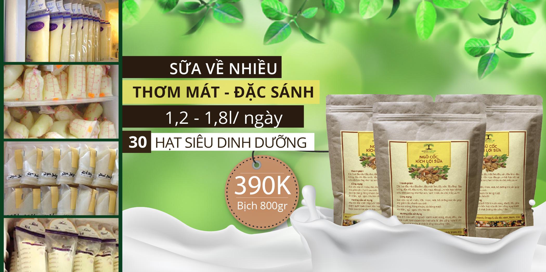 Ngũ cốc lợi sữa nature queen