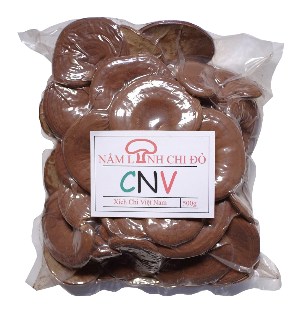 Nấm linh chi đỏ CNV 500g loại thường (Xích chi Việt Nam)