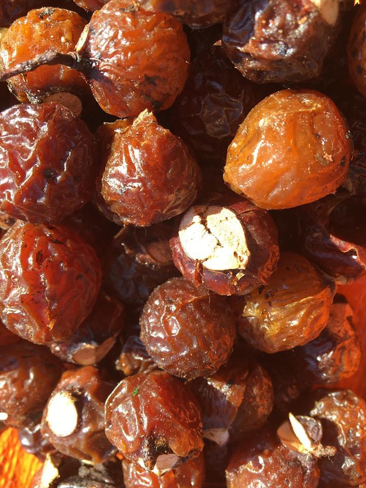 Quả bồ hòn loại 1 ( đã tách hạt) 1kg