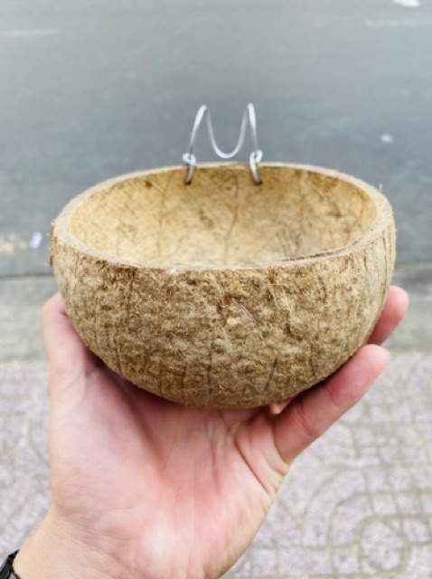 Máng ăn gáo dừa cho gà máng gáo dừa máng ăn gà gáo dừa