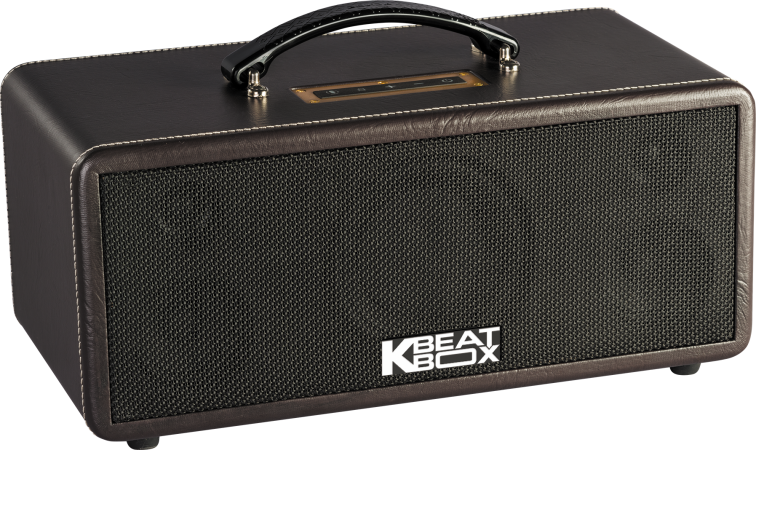 Dàn Âm Thanh Di Động ACNOS KS361MS