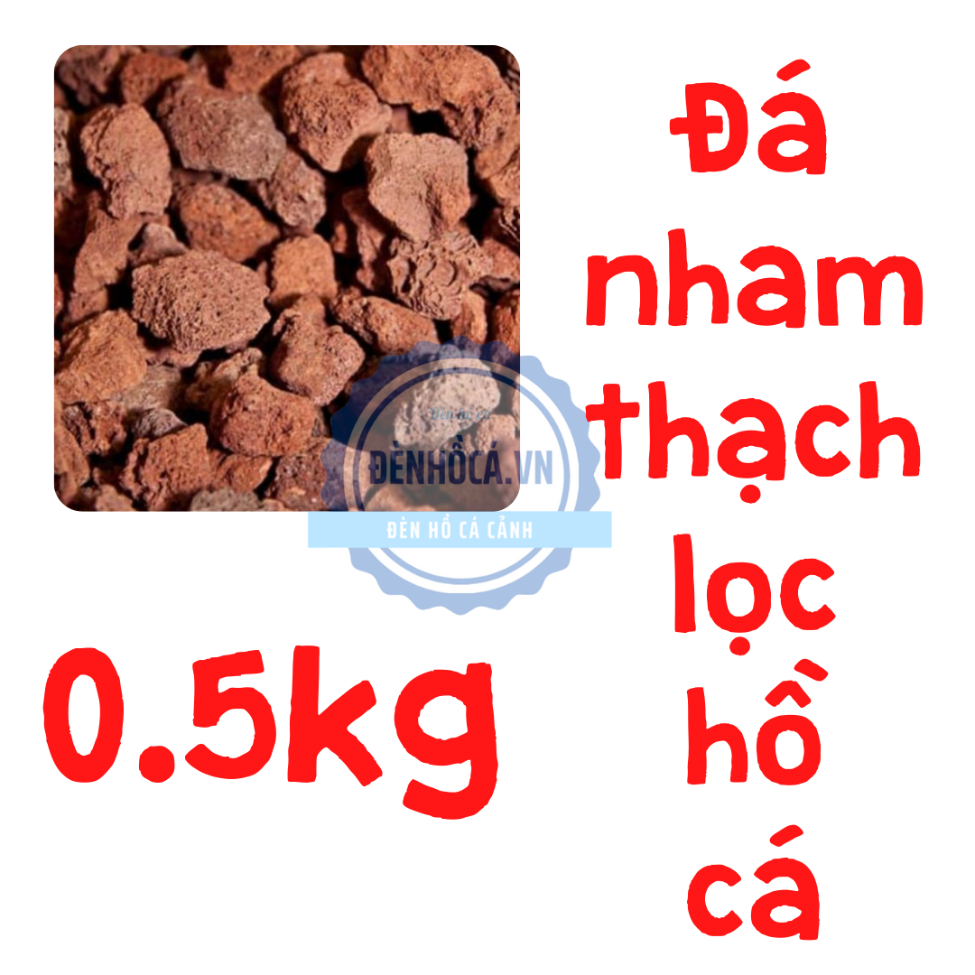 Đá nham thạch phụ kiện lọc cho hồ cá cảnh