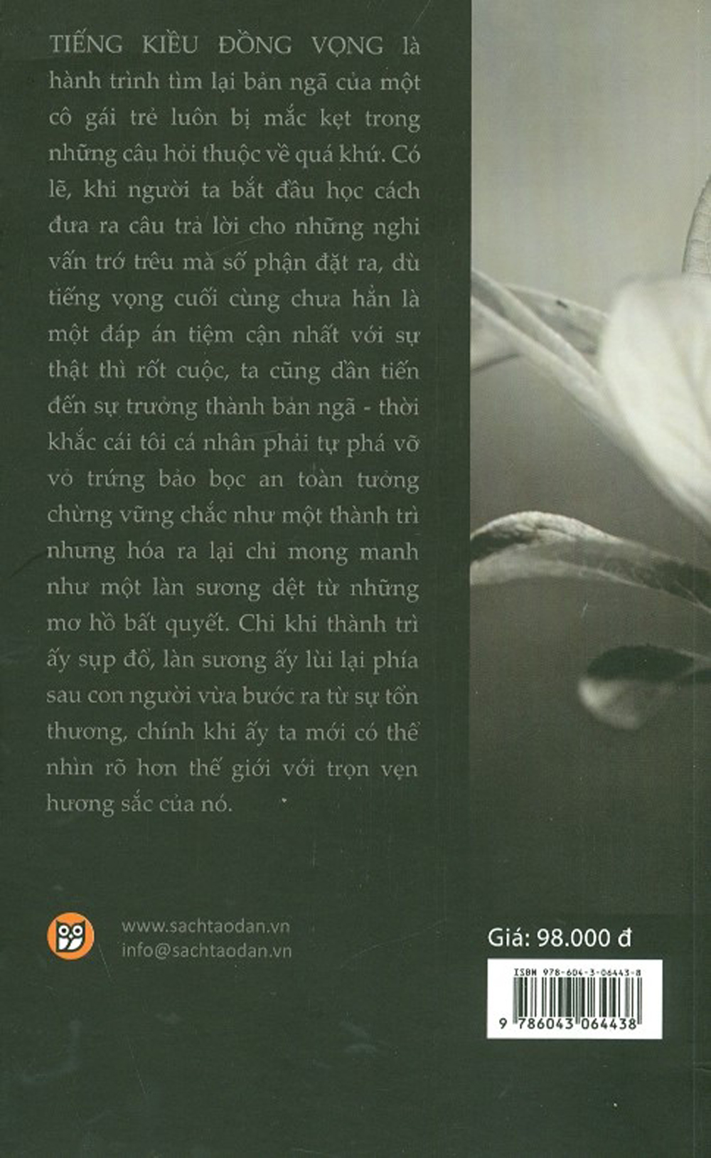 Tiếng Kiều Đồng Vọng