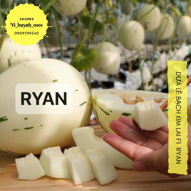 [HCM]Hạt Giống Dưa Lê Đốm Lê Bạch Kim Ryan F1 Giống Nhập Hàn Siêu Ngon Ngọt Giòn Tan Dễ Trồng Và Đẹp Mắt