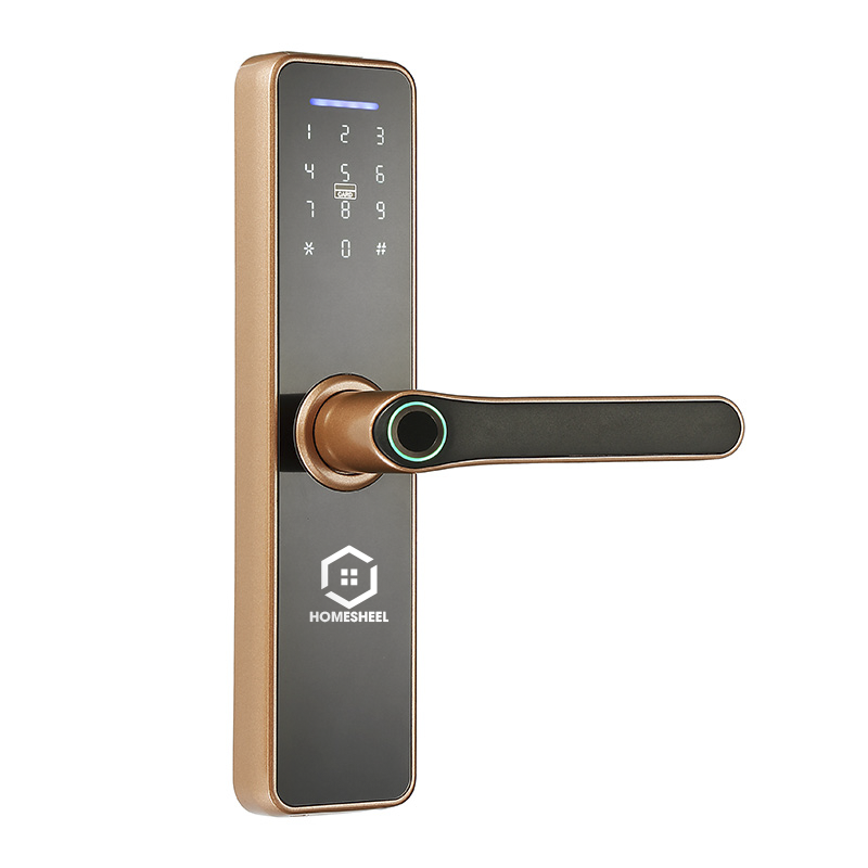 Khóa vân tay Smart Lockdoor Homesheel L1