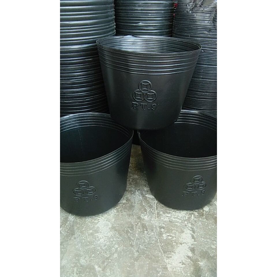 50 chậu ươm cây, trồng cây C10