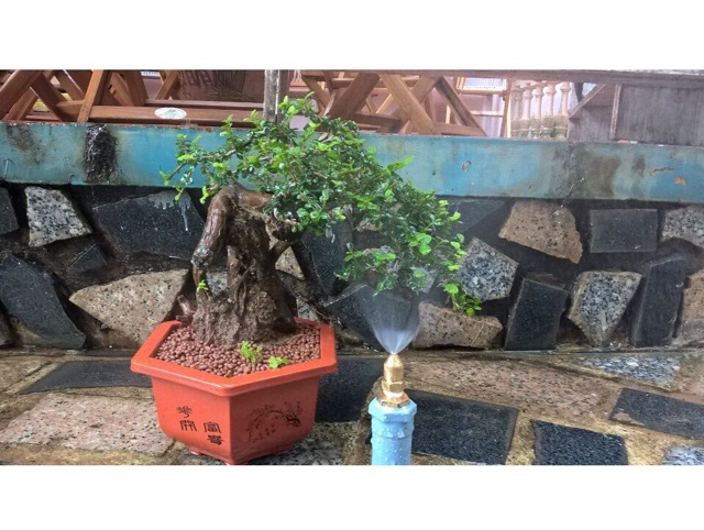 Bec phun sương đồng chân ren 21