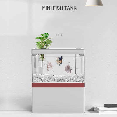 Bể cá thủy sinh mini trang trí bàn làm việc