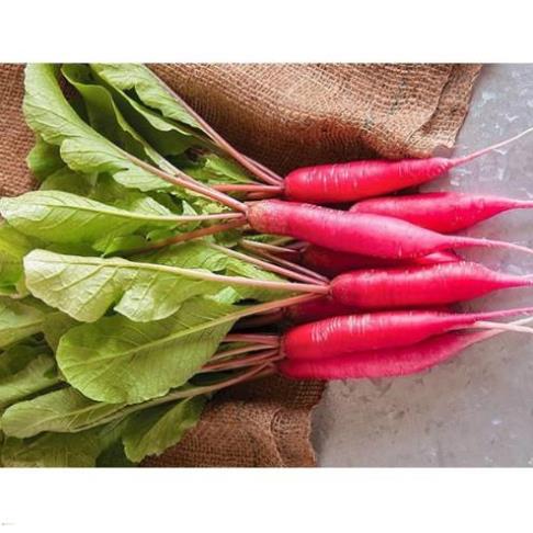 HẠT CỦ CẢI ĐỎ DÀI - GÓI 5 GRAM