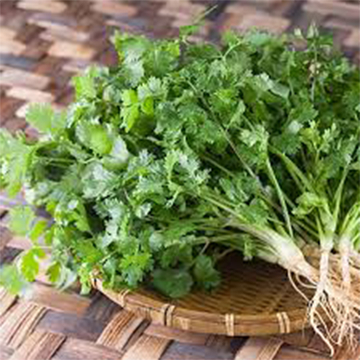 Gói 10gr hạt giống rau mùi ta (ngò rí)