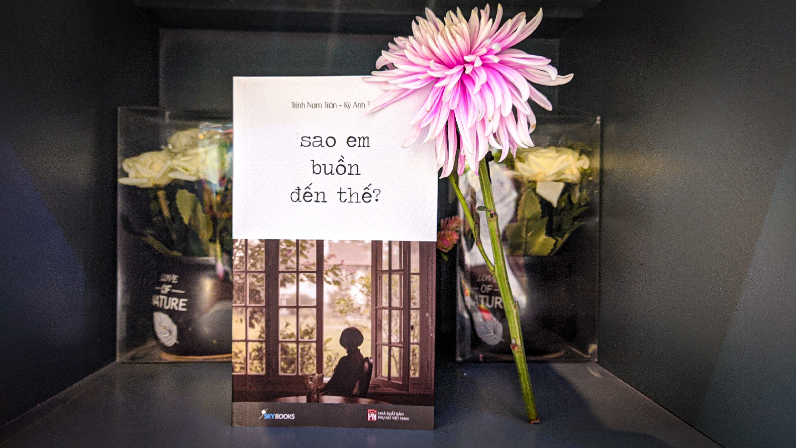 SAO EM BUỒN ĐẾN THẾ ?
