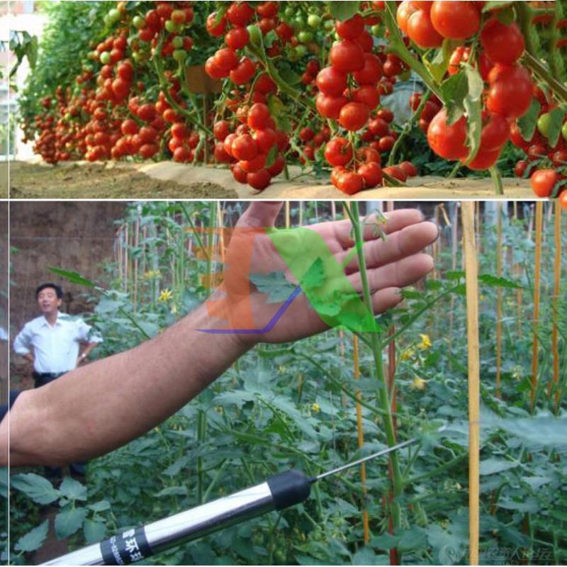 Máy thụ phấn Cà chua SUKA-8701