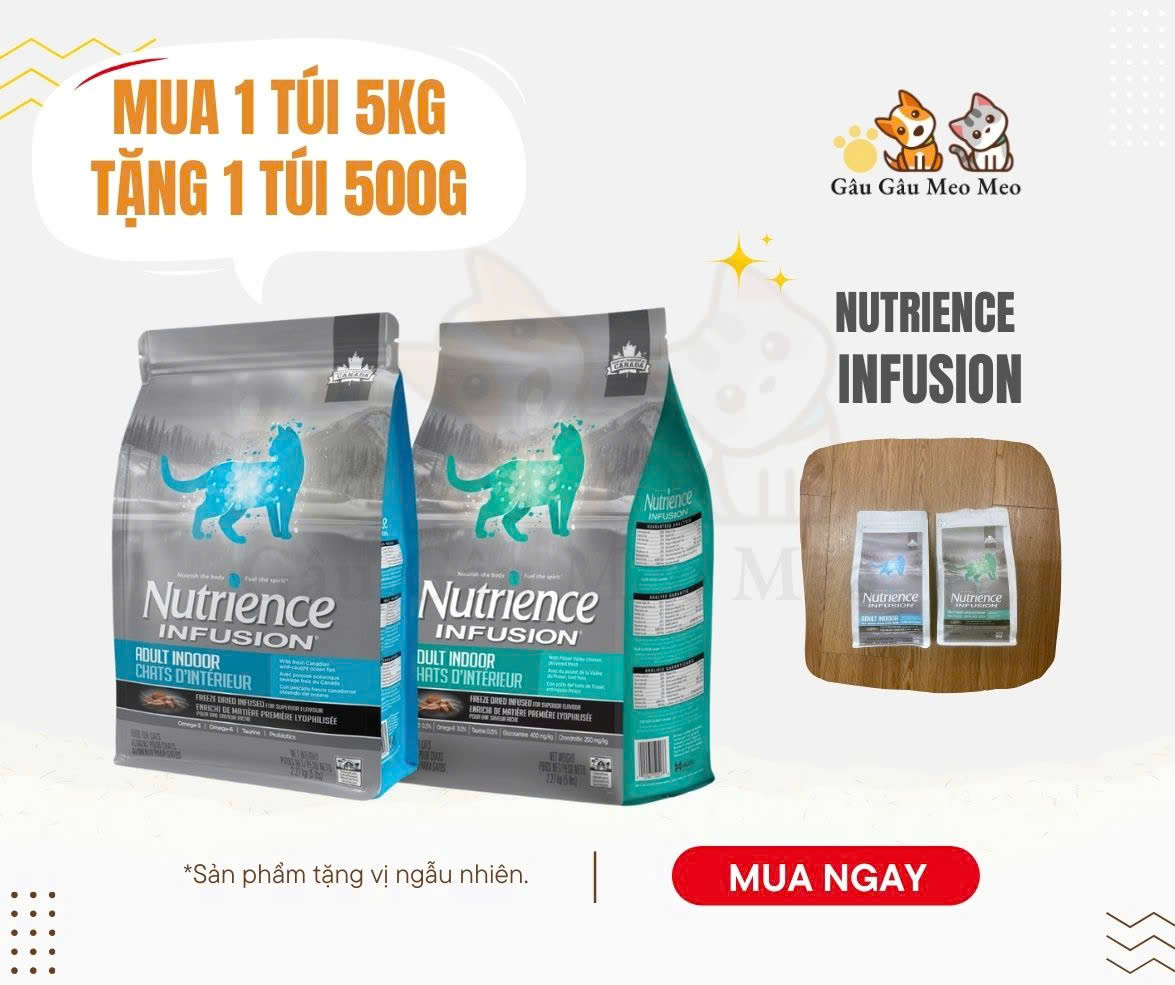 [Nguyên seal 2,27kg & 5kg] Thức ăn mèo NUTRIENCE INFUSION
