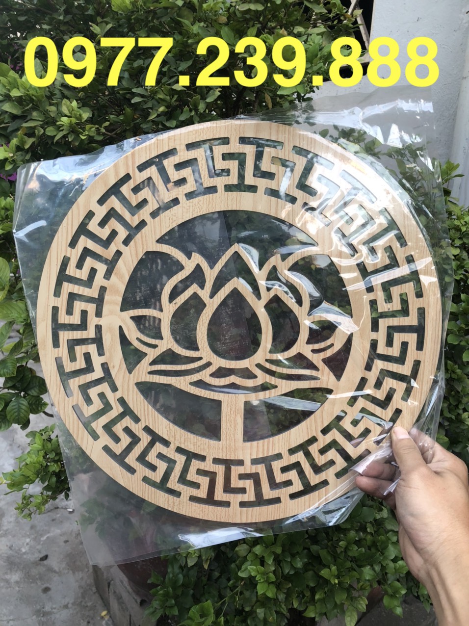 chữ hoa sen màu cánh dán