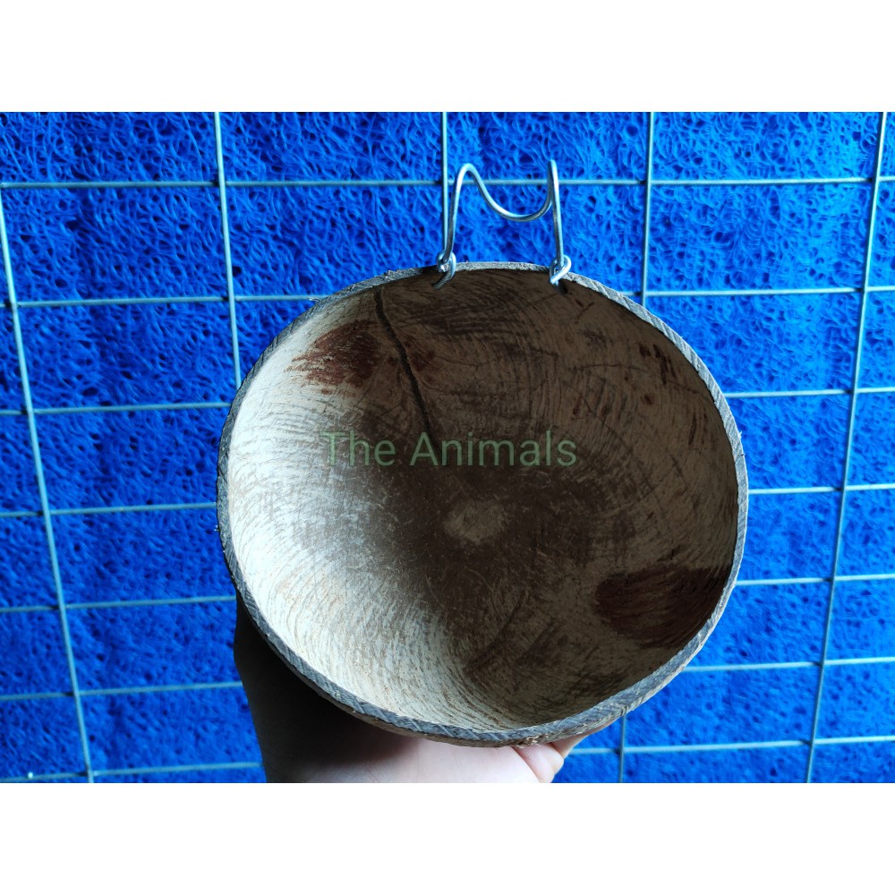 [HCM]Gáo dừa đựng thức ăn nước uống cho gà đá chim trĩ (gáo thường)