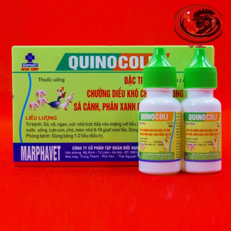 QUINO COLI PHÂN XANH PHÂN TRẮNG 1 HỘP 10 LỌ