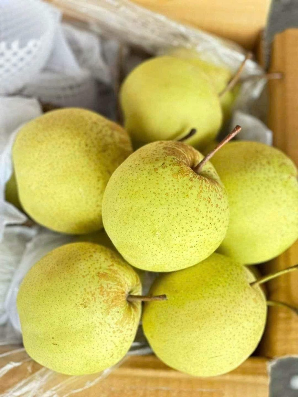 VG FARM Lê Đá giòn, ngọt, chắc trái