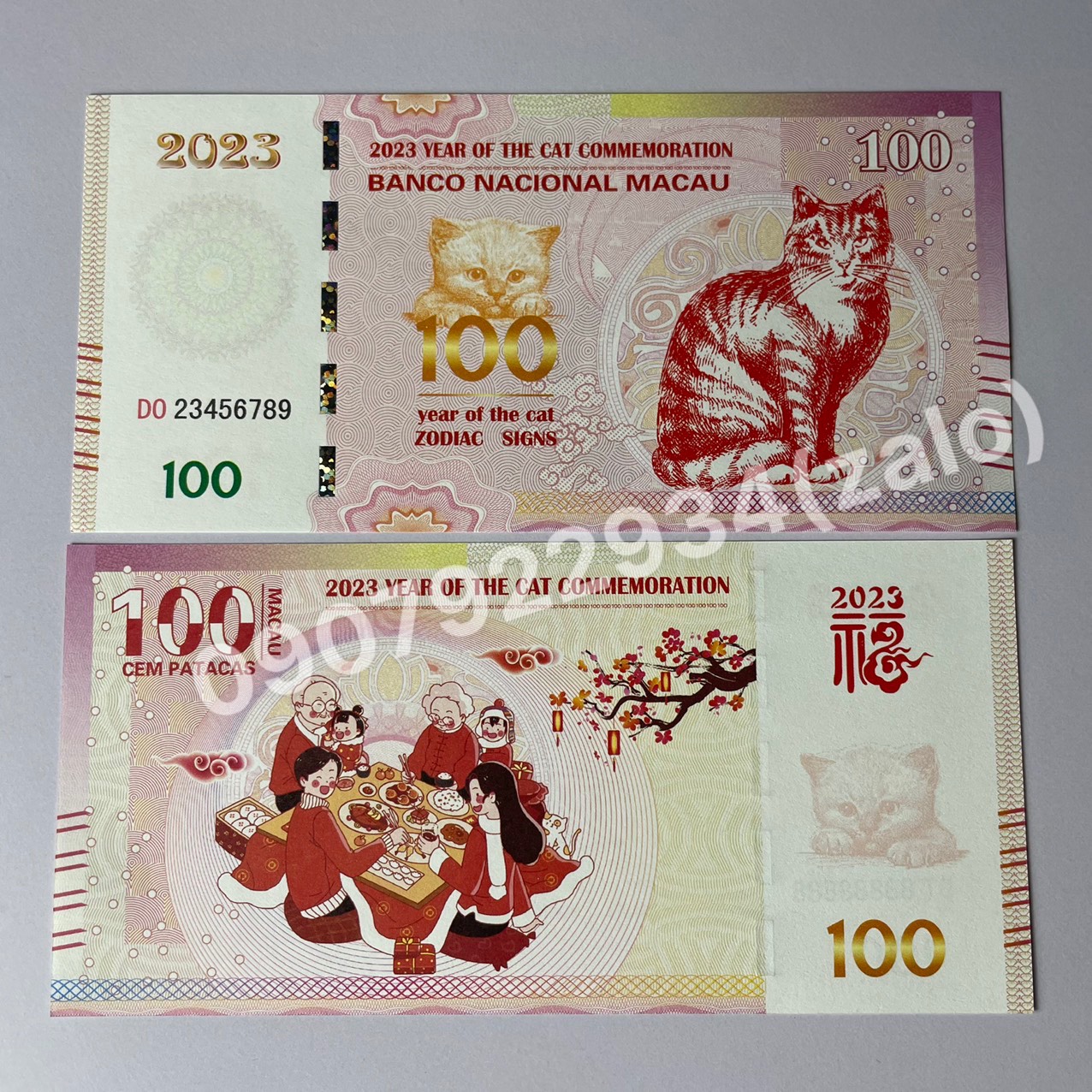 [Mẫu Tết Đoàn Viên, Seri VIP] Combo Mèo Macao lì xì tết Quý Mão 2023
