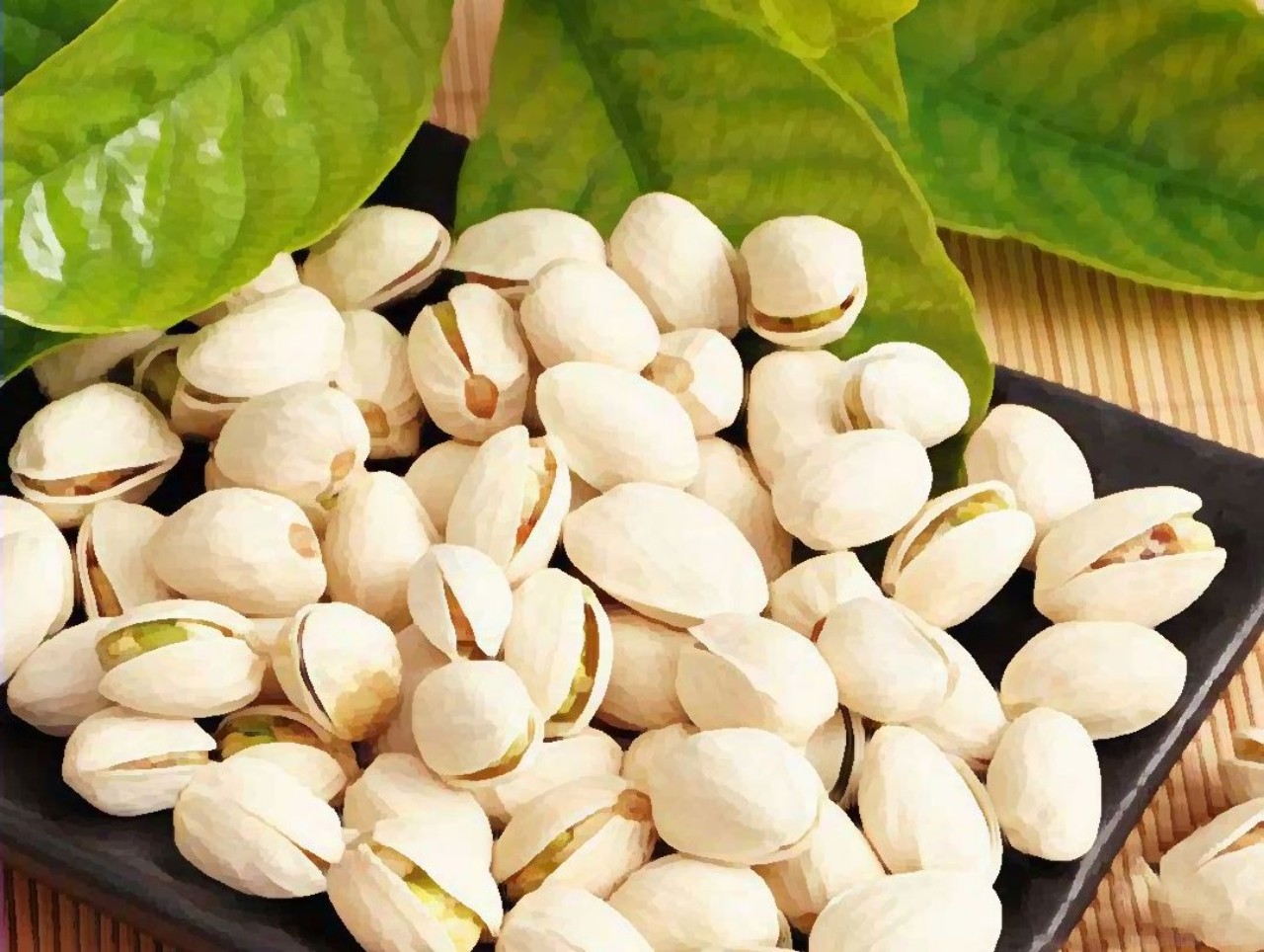 Hạt dẻ cười Mỹ