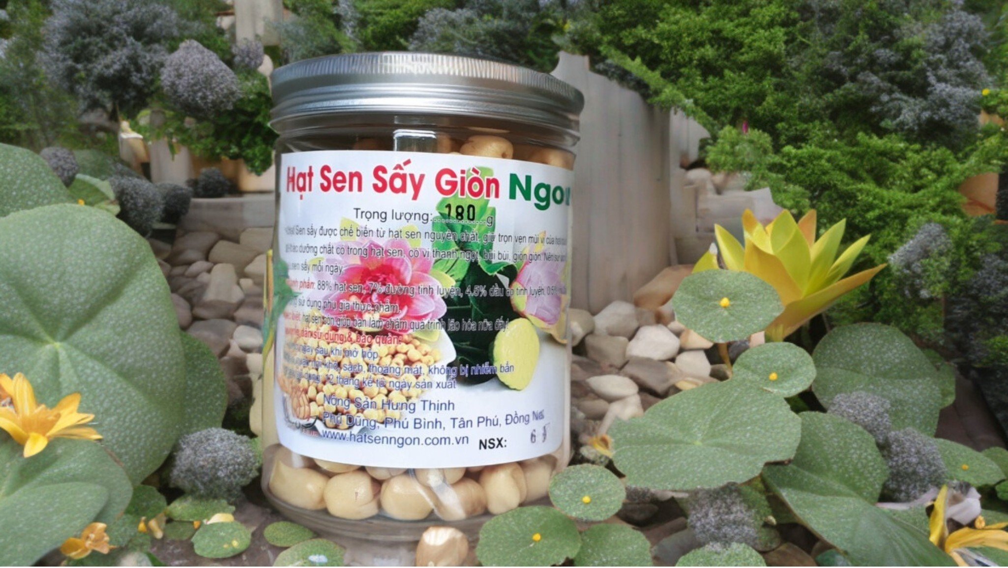 hạt sen sấy giòn ngon