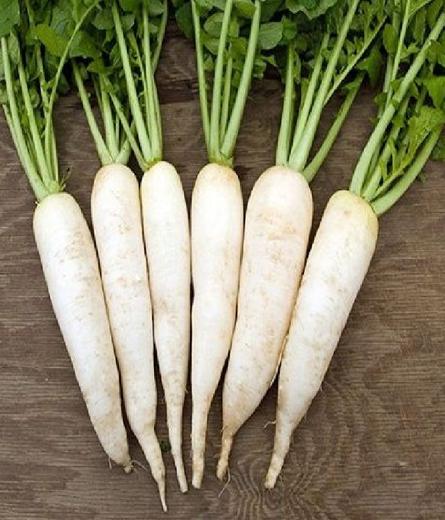 White Radish Seeds (Sugar Beet) - 20Gram Pack