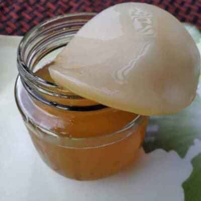 Con men Scoby kèm nước mồi làm trà Kombucha
