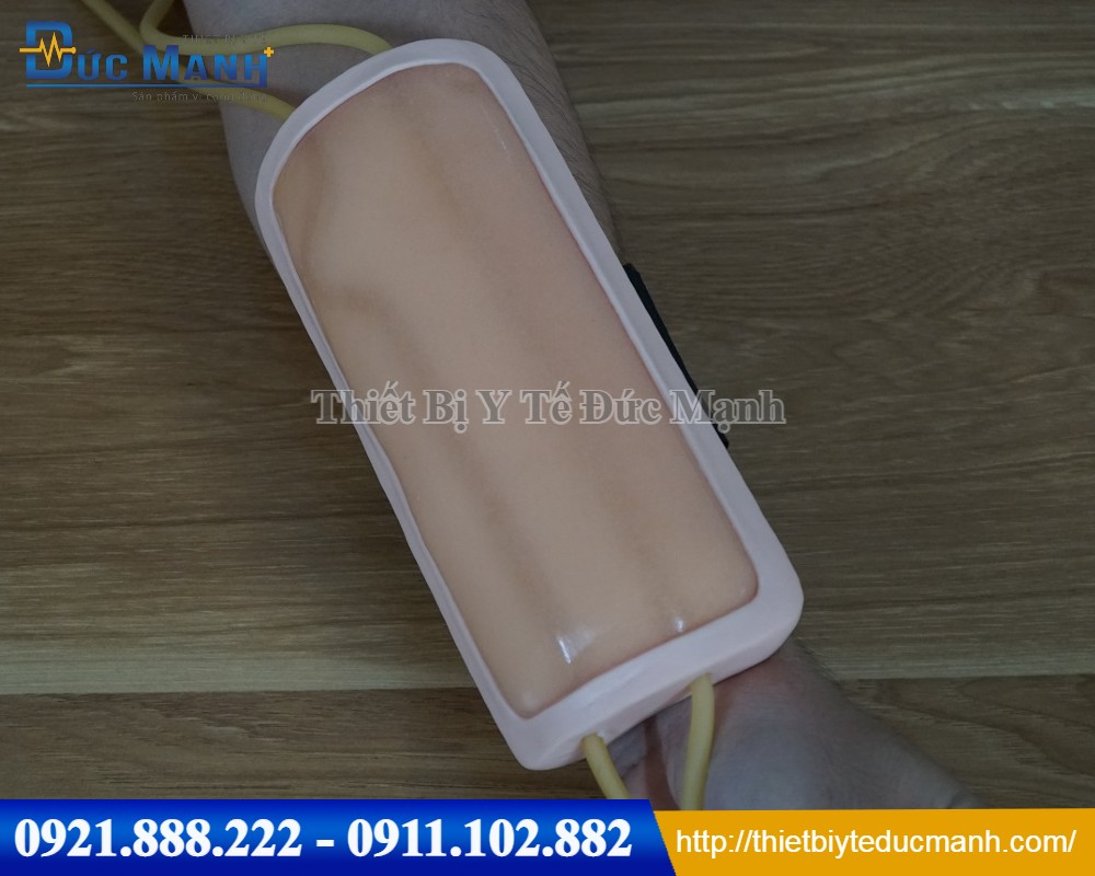 Mô hình tiêm tĩnh mạch