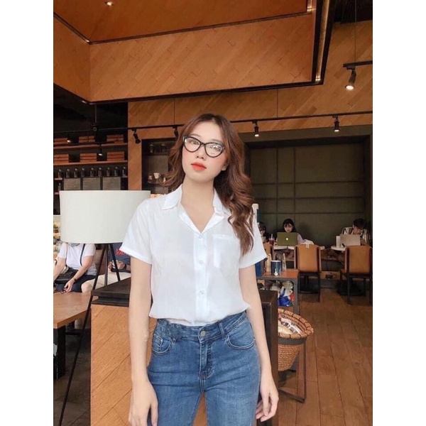 Áo sơ mi Gu cộc hàng chuẩn đẹp
