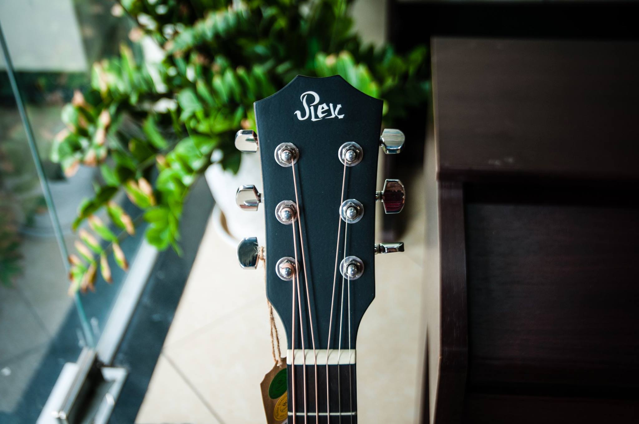 Đàn guitar acoustic Rex RA1C-NM Chính Hãng Singapore