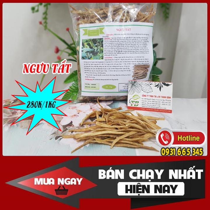 Ngưu Tất Khô 100G Loại 1 - Đông Y Thanh Bình