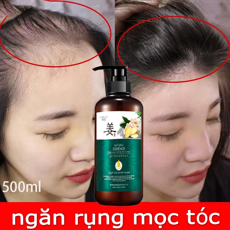 Chính Hãng Giá Thấp Nhấtdầu gội chống rụng tóc Dầu Gội gừng tươi dầu gội mọc tóc 500ml Kích thích mọc tóc dày rậm dầu