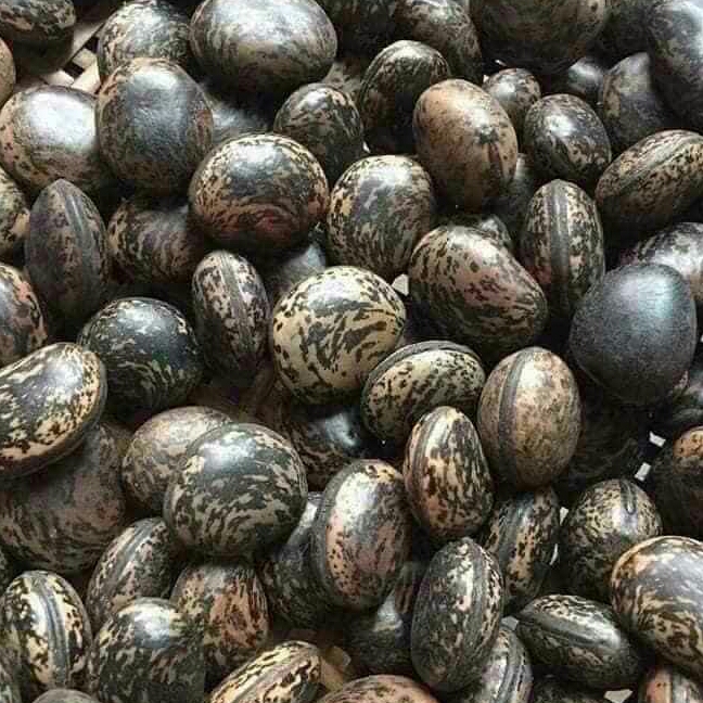 10 HẠT ĐẬU LÀO