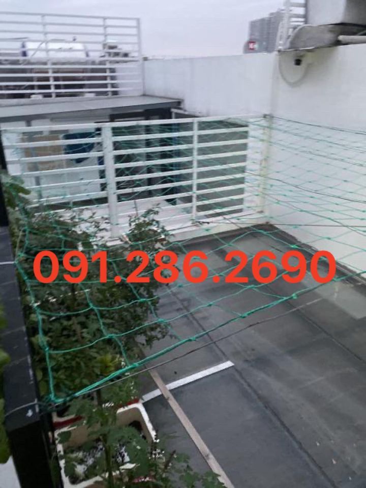 Lưới cước làm giàn cho cây leo ( kích thước rộng 2 m, dài 5m)