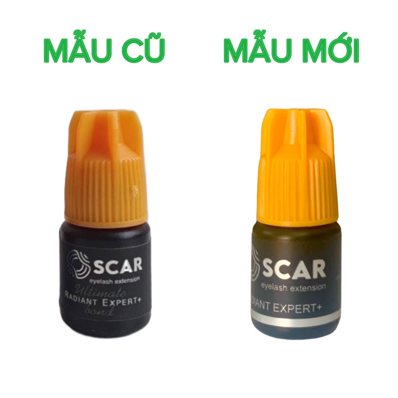 Keo nối mi cao cấp Oscar, ít cay siêu bền (dụng cụ nối mi)