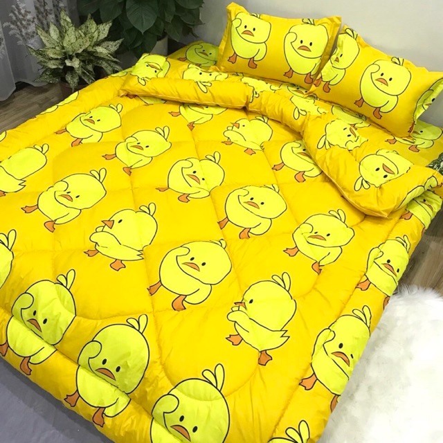 Bộ 3 Món Ga Gối Cotton Poly