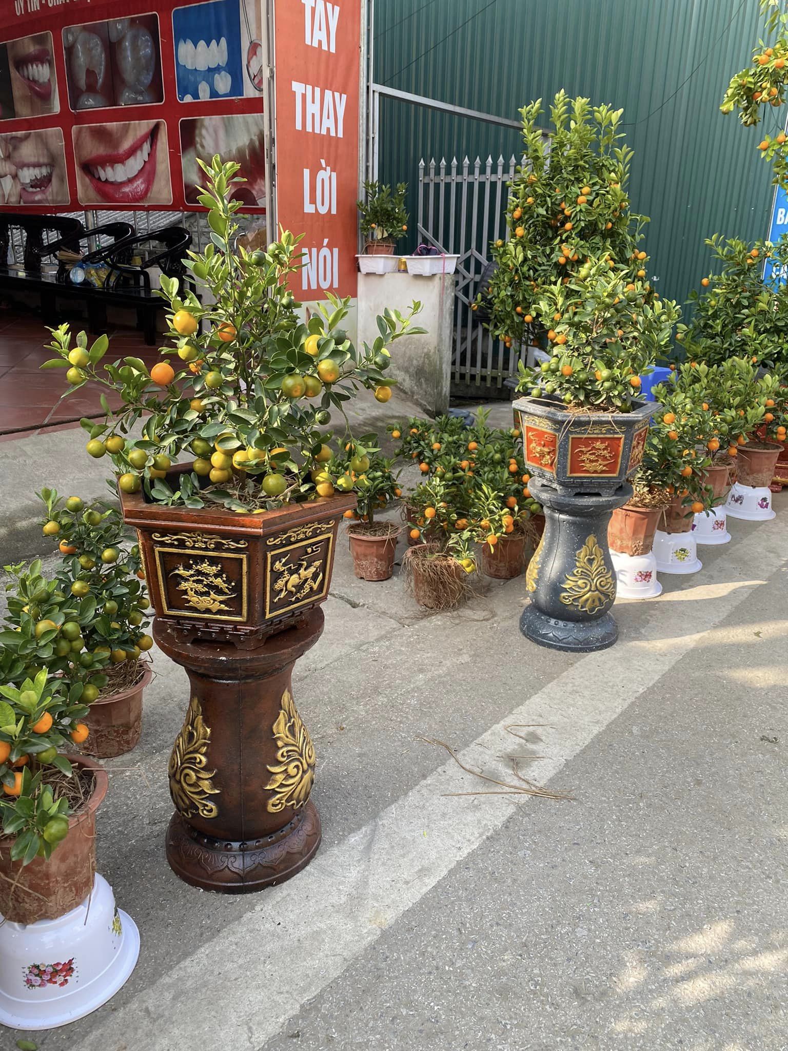 khuôn đúc chân đôn cao 45 (đôn ghế- đôn chậu)