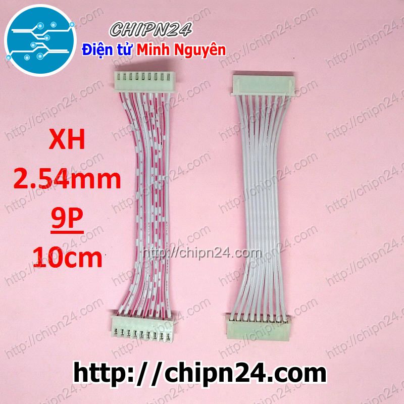 Dây bẹ 9p 10cm xh2.54mm
