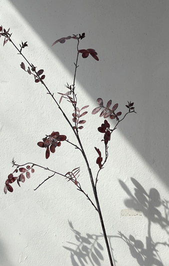 Hoa Giả, Hoa Lụa Cao Cấp Decor Trang Trí Phong Cách Châu Âu Sang Trọng