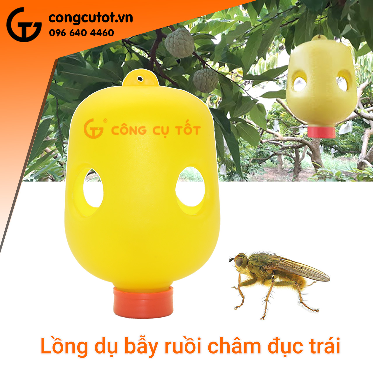 Combo 20 lồng bẫy ruồi vàng