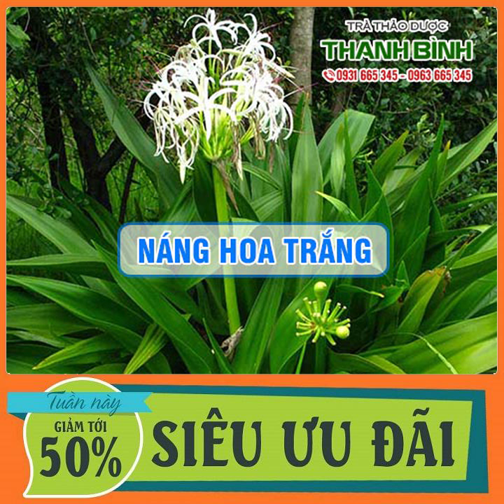 Náng Hoa Trắng 500G - Hàng Công Ty Chất Lượng