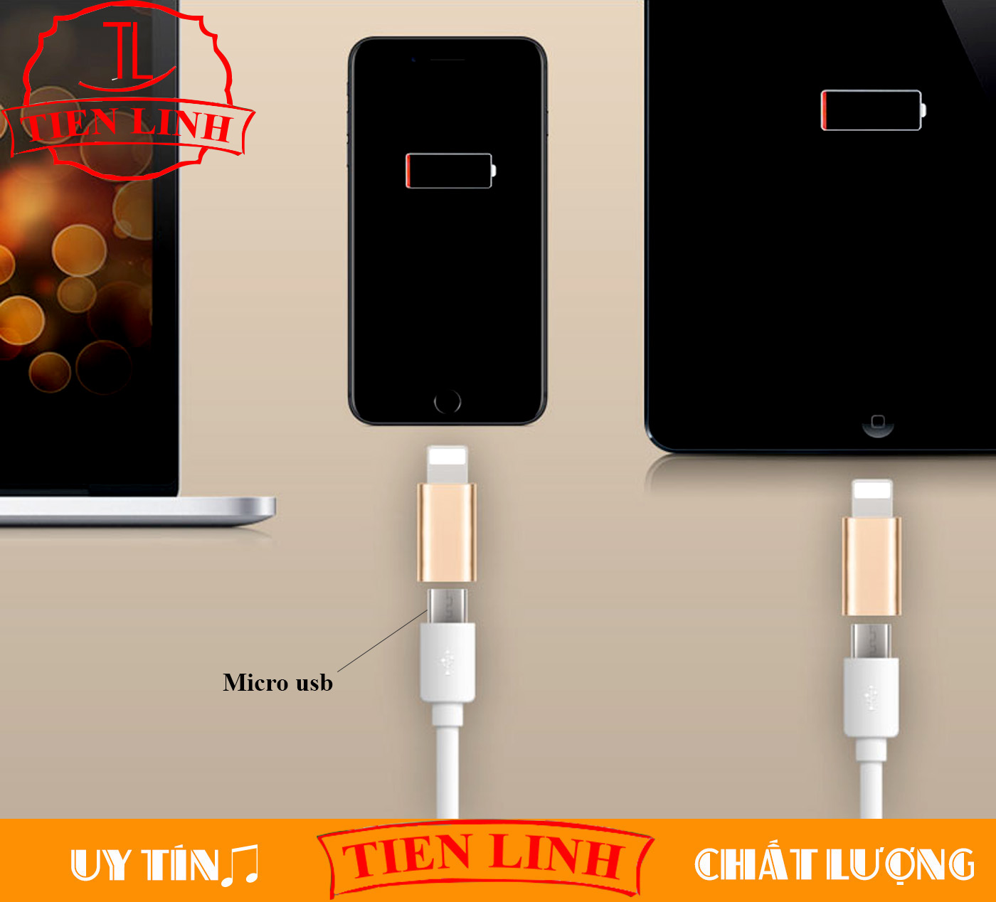 Micro USB to Lightning cable adapter (charging and data transfer)