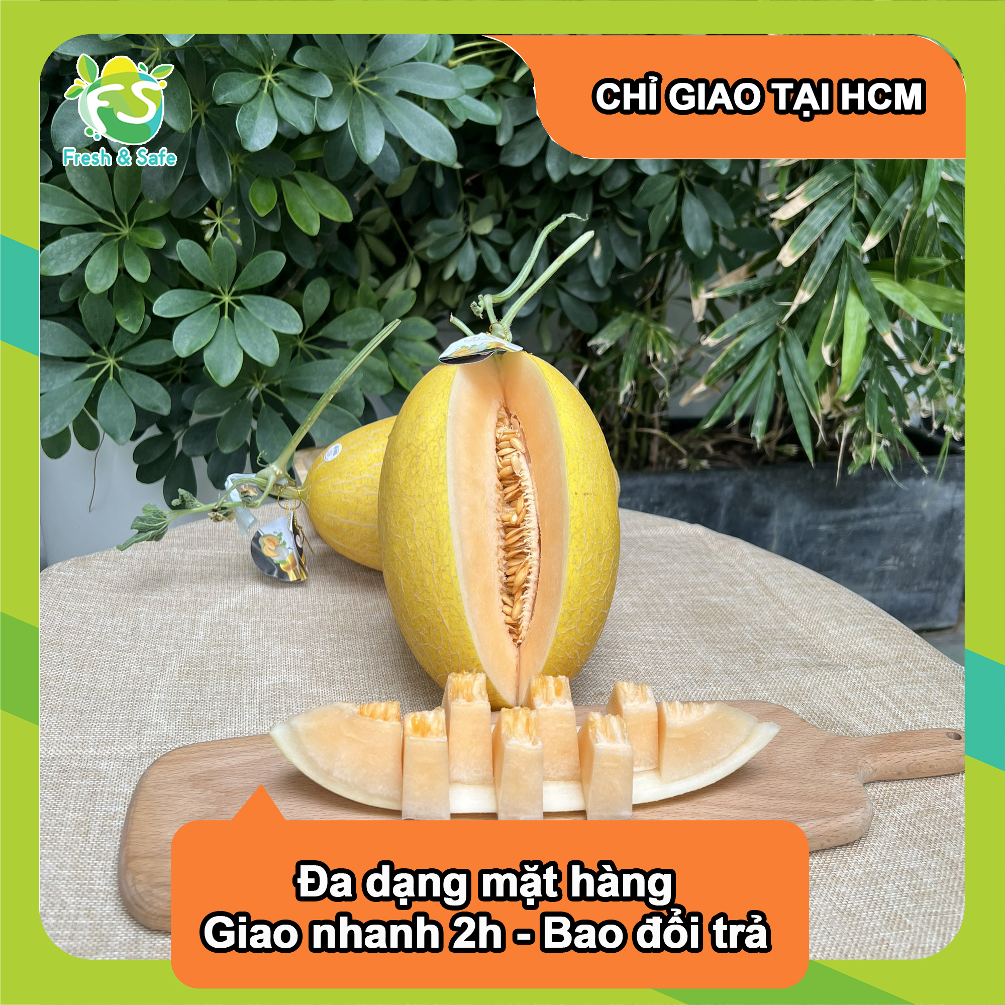 [Chỉ Giao HCM] Dưa Lưới Huỳnh Long - trái 1.3kg