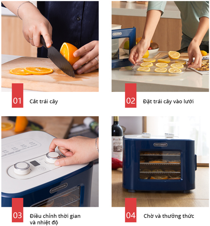 Morphy Richards MR6255 _ Máy Sấy Thực Phẩm Đa Năng.