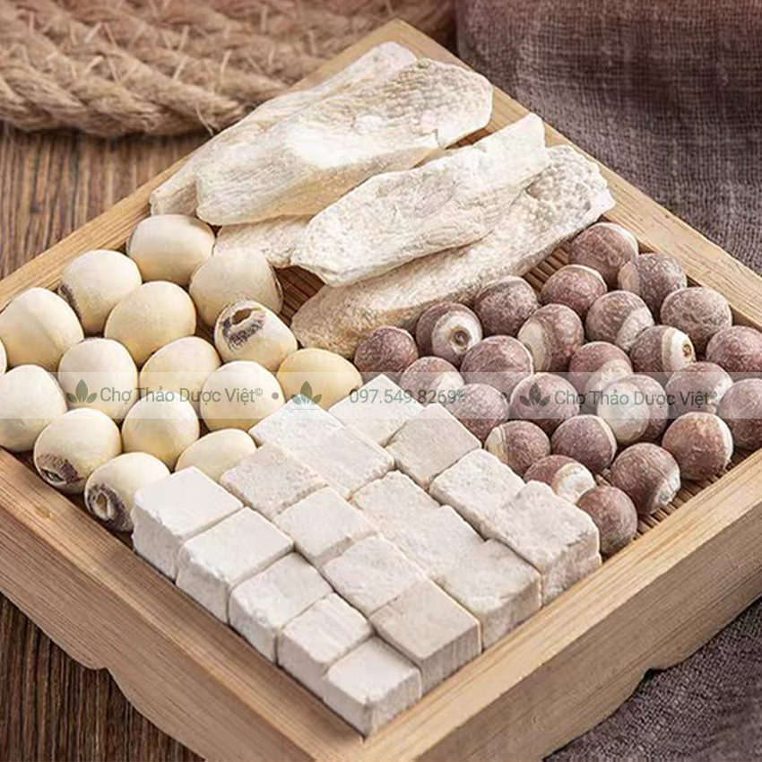 Canh tứ thần (Hạt sen, y dĩ, bạch linh, khiếm thực, hoài sơn) - Chợ Thảo Dược Việt