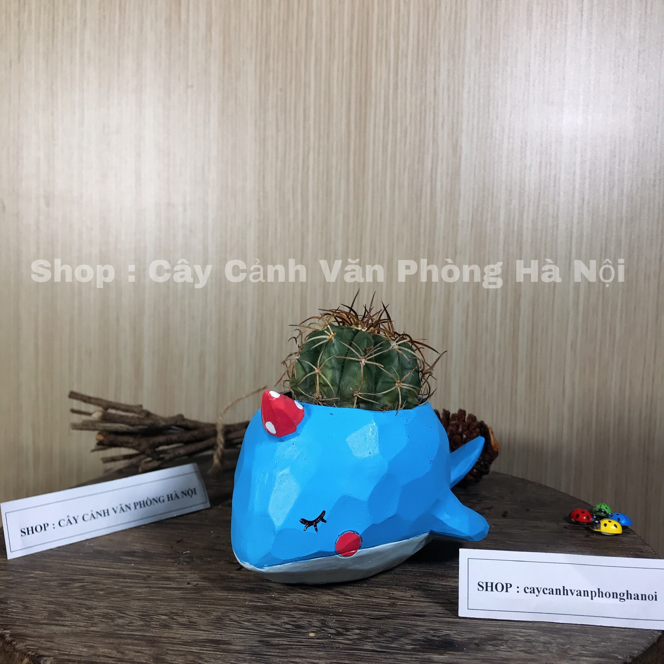 chậu cây hình cá voi xanh