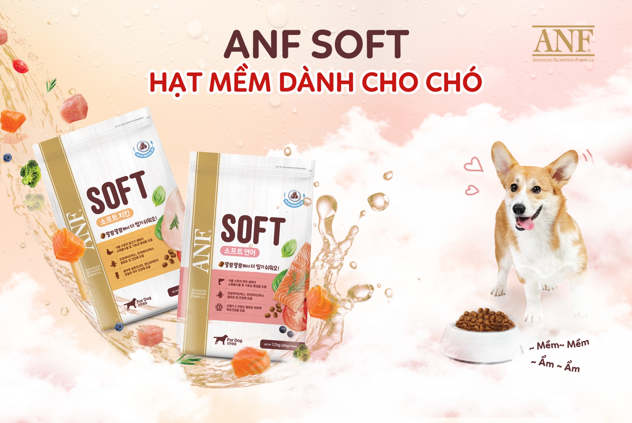 1.2kg thức ăn hạt mềm cho chó mọi lứa tuổi anf soft