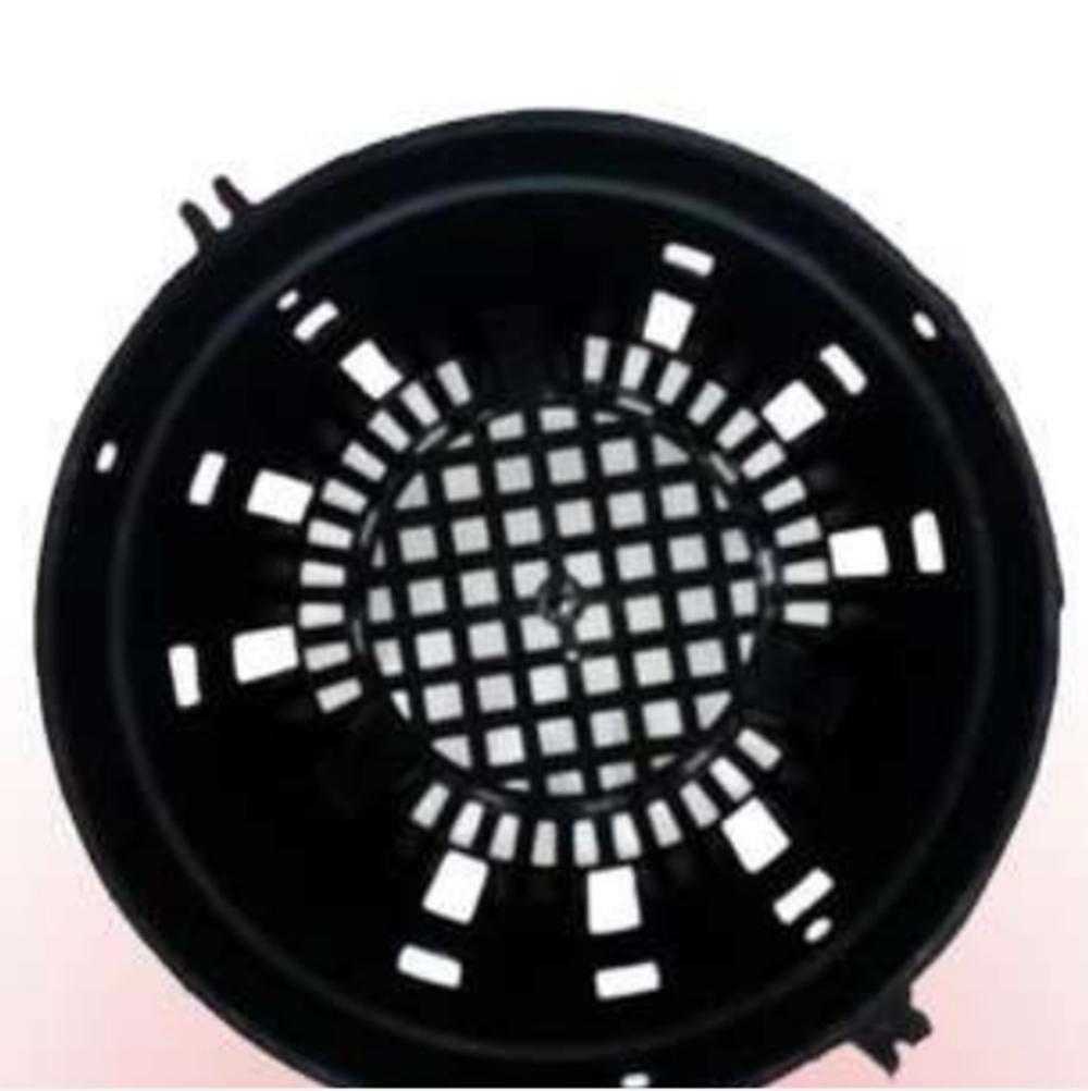 10 Chậu nhựa trồng lan phi 21