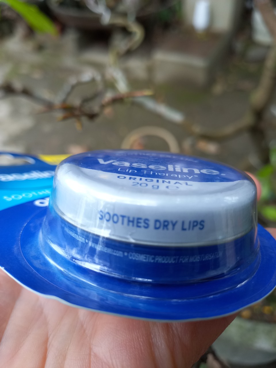 Son dưỡng môi Vaseline hũ thiếc 20g